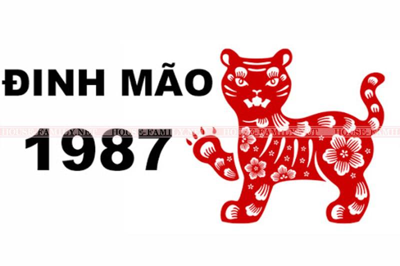 Vtkong